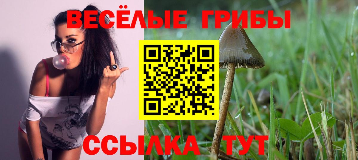 Псилоцибиновые грибы MAGIC MUSHROOMS  Вход с VPN  купить наркоту  Балашиха 